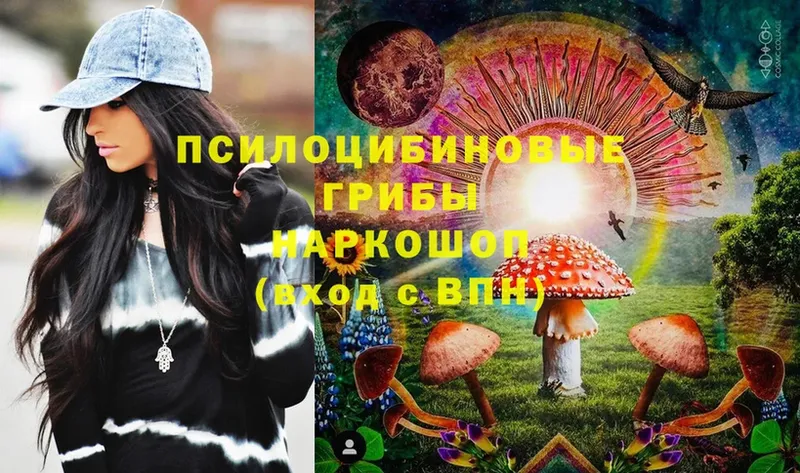 Галлюциногенные грибы Magic Shrooms  Берёзовский 